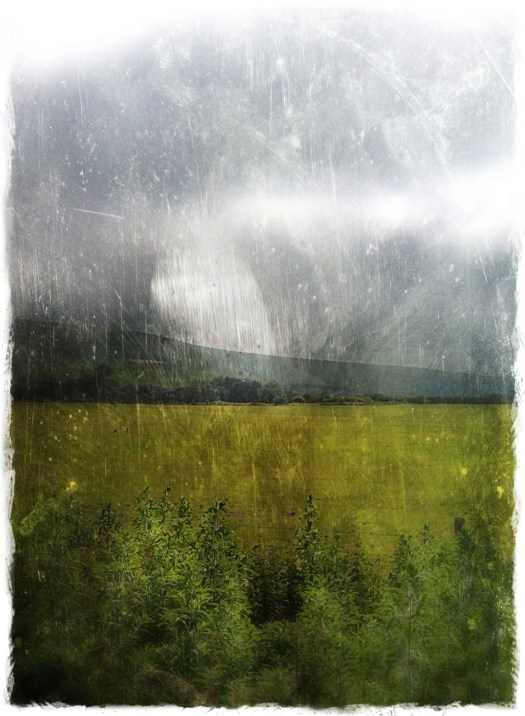 20120903-121634 PM.jpg