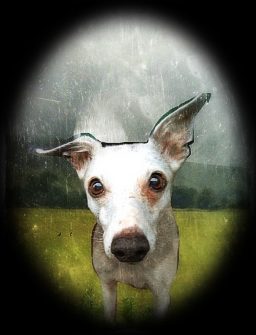 20120903-122041 PM.jpg