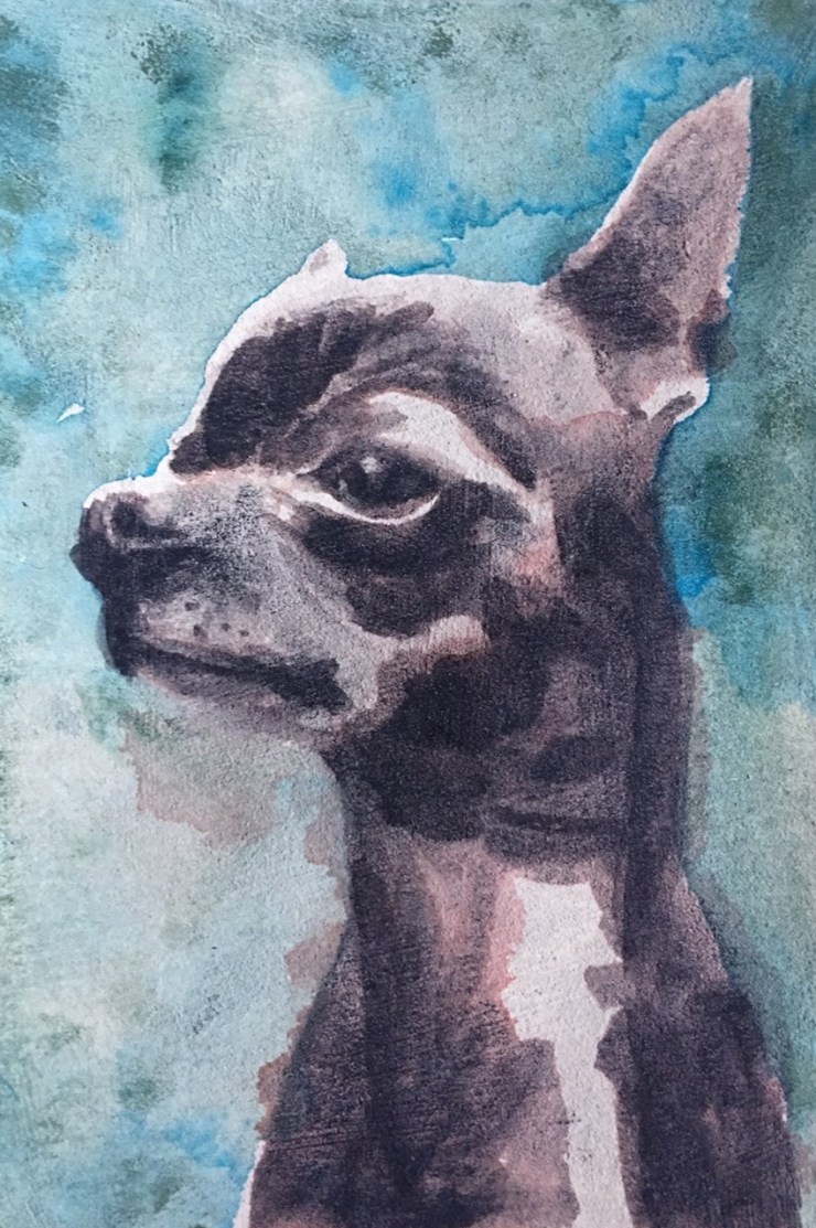 88FC5537-AA7E-4FB3-99AD-03166E5B9D57